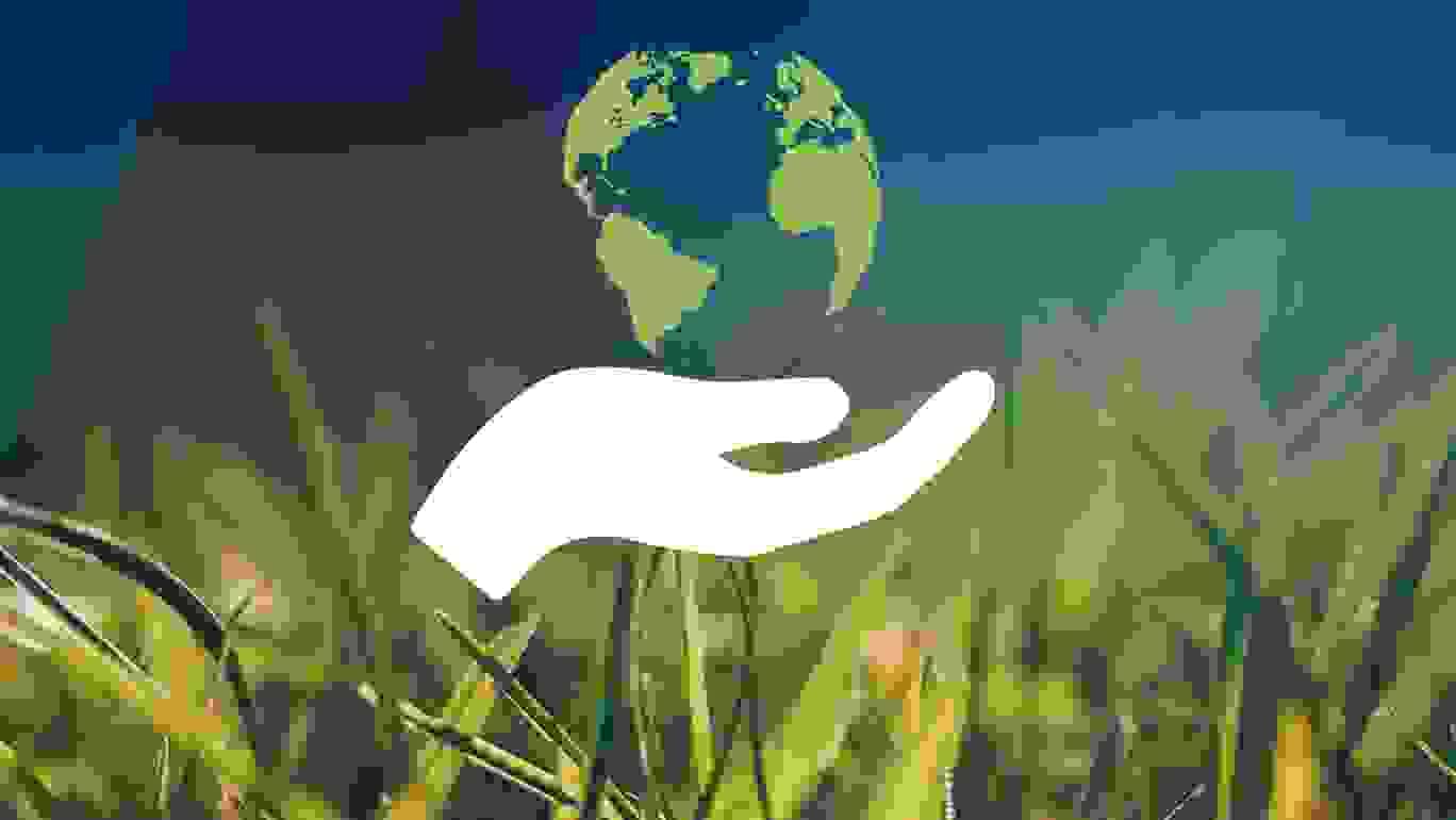 Bæredygtighed