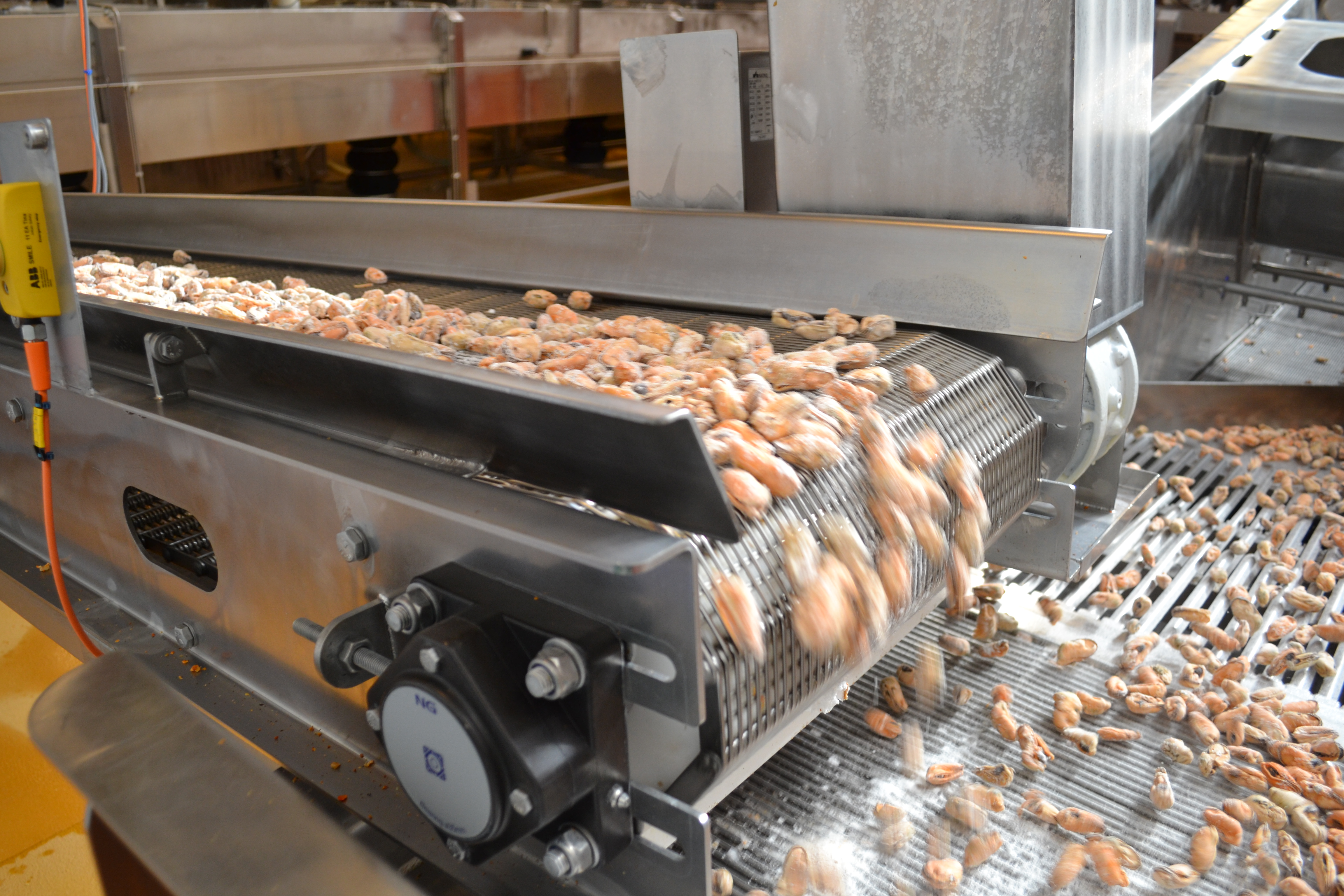 Kølerums transportbånd med NG flange F4 lukket