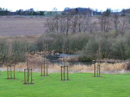 Naturen omkring BJ-Gear i Stilling